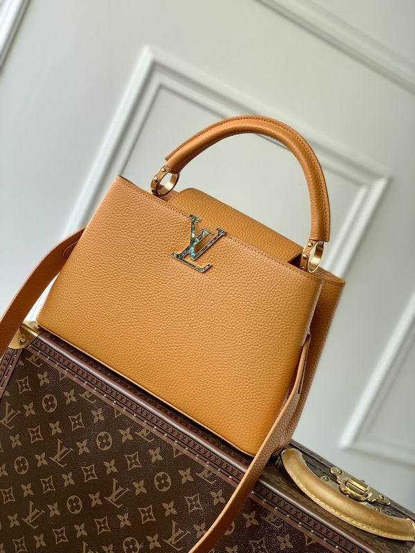 LV Handbags 113